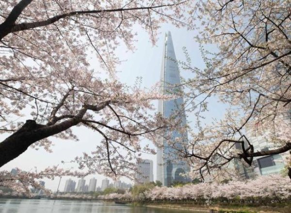 纯旭配资端 中国游客对韩国旅游业有多重要 免签政策促进复苏